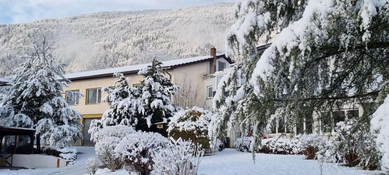 Apartment Wild - Im Skigebiet Gerlitzen & Ossiacher See Bodensdorf Eksteriør billede